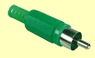 SPINA RCA VERDE