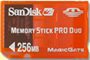 MEMORY DUO 256 MB   PRO GAMING